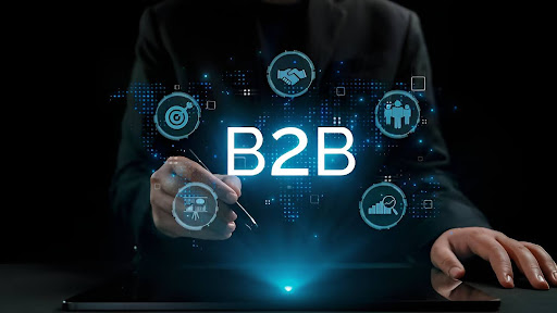 b2b marketplace software