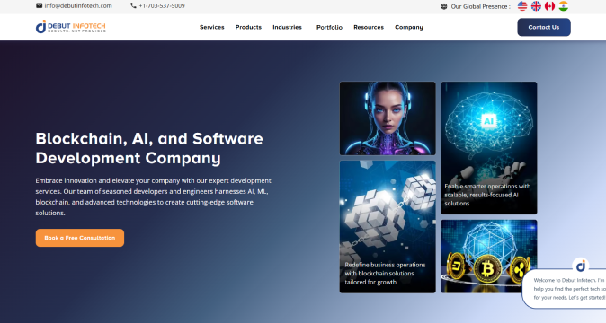 Debut Infotech Pvt Ltd